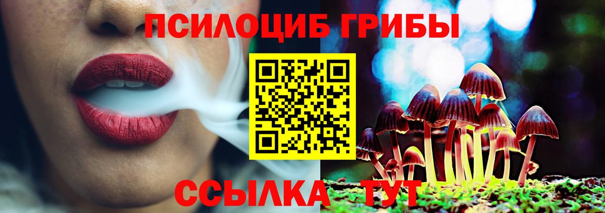 Галлюциногенные грибы Magic Shrooms Электросталь